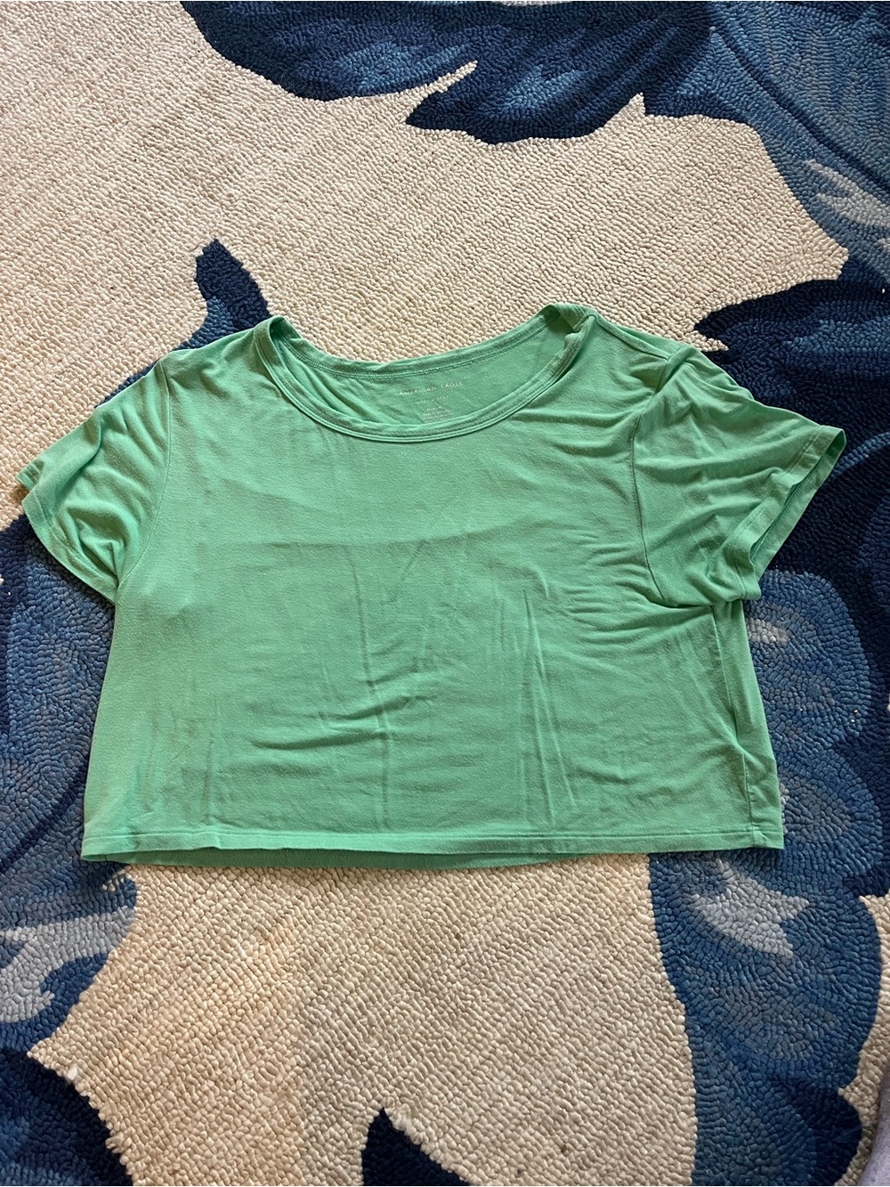 American Eagle Outfitters Mint Green Crop Top